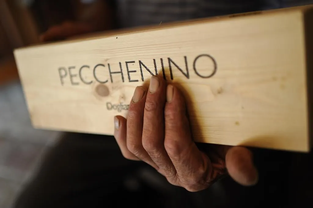 Casapecchenino-1